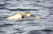 Nearby View and Attractions 5 Cabinas Sunset Tortuguero