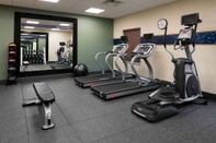 Fitness Center Hampton Inn & Suites Hudson