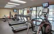 Fitness Center 2 TownePlace Suites by Marriott Detroit Troy
