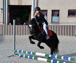 Bangunan 4 Haras des Chartreux