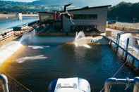 Swimming Pool Surf Snowdonia