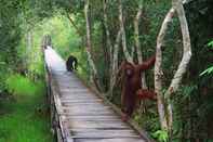 Exterior Rimba Orangutan Eco Lodge