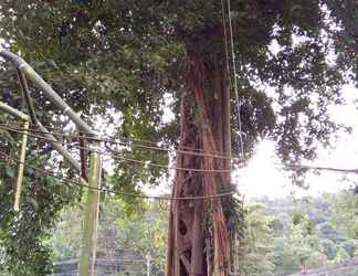 Luar Bangunan 2 The Grand Tree Resort