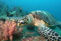 Trung tâm thể thao Equa Reef Maldives