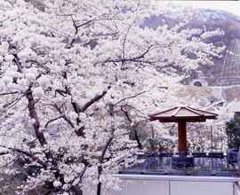 Exterior 4 Hotel Kurobe