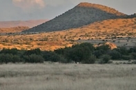 Tempat Tarikan Berdekatan Otterskloof Private Game Reserve