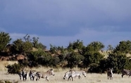 Tempat Tarikan Berdekatan 5 Otterskloof Private Game Reserve