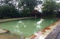 Swimming Pool Rainforest Edge