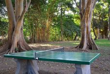 Common Space Green Hills of Africa