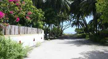 Luar Bangunan 4 Pearl Beach View