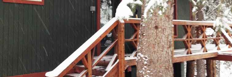 Exterior Treehouse by the Stream