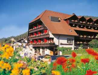 Luar Bangunan 2 Hotel Schwarzwaldhof