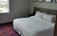 Bedroom 5 Hilton Garden Inn Tampa Suncoast Parkway