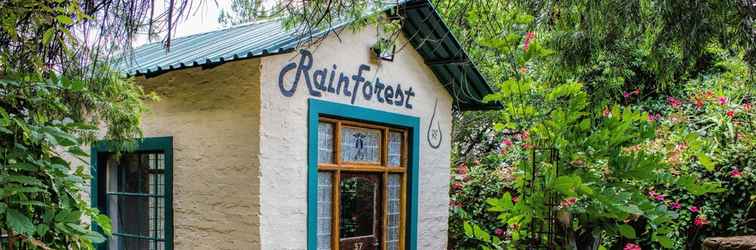 Exterior Rainforest Boutique Camp