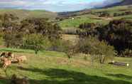 Tempat Tarikan Berdekatan 2 Swaynekloof Farm