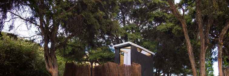 Exterior Criffel Station Farmstay