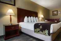 Kamar Tidur Gold Leaf Hotel of Dewey - Rehoboth Beach