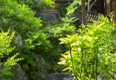 公共空間 5 Ryokan Nobiru Sansou