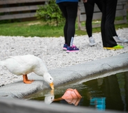 Fitness Center 7 Slovenia Eco Resort