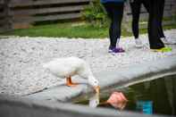 Fitness Center Slovenia Eco Resort