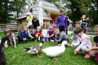 Ruang Umum Slovenia Eco Resort