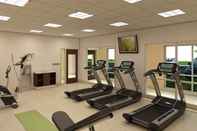 Fitness Center Holiday Inn Express & Suites St. Louis South - I-55, an IHG Hotel