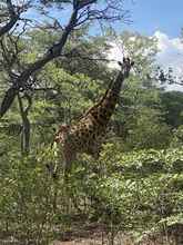 Exterior 4 Limpopo Bushveld Retreat