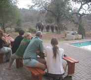 Kolam Renang 7 Antares Bush Camp & Safaris - Hostel
