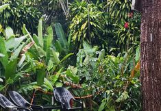 Swimming Pool 2 Garden Stone Hostel