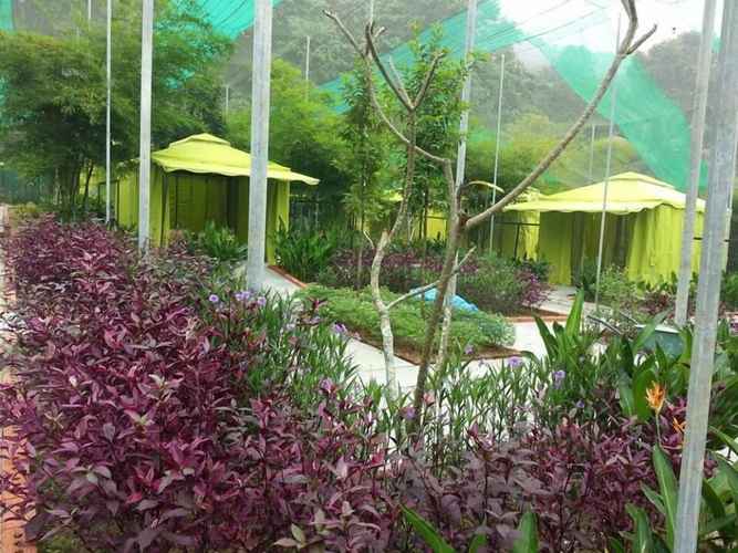 T Garden In Pantai Cenang Langkawi Kedah