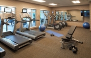 Fitness Center 7 Residence Inn by Marriott Chicago Bolingbrook