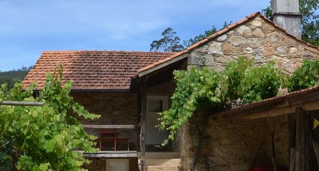 外觀 2 Moleiro da Costa Ma