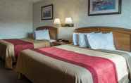 Bedroom 6 Econo Lodge Inn & Suites Canandaigua