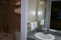 In-room Bathroom Executive Inn and Suites Waxahachie