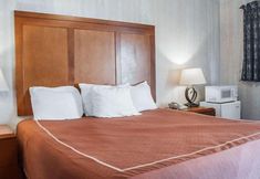 Bedroom 7 Castle Inn & Suites