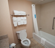 In-room Bathroom 4 Hampton Inn Oneonta