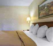 Kamar Tidur 5 Quality Inn & Suites