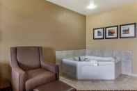 สิ่งอำนวยความสะดวกด้านความบันเทิง Comfort Suites Delavan - Lake Geneva Area