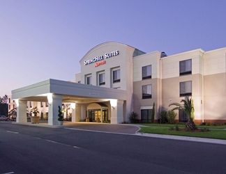 Exterior 2 SpringHill Suites by Marriott Savannah Airport