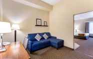 Ruang untuk Umum 4 Comfort Suites Columbia Gateway