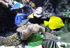 共用スペース 5 Witek Hotel & Conference Centre