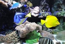 共用スペース Witek Hotel & Conference Centre