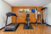 Fitness Center Comfort Inn & Suites Diamondale – Lansing