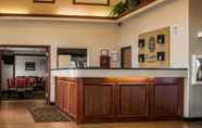 Lobi 3 Comfort Inn & Suites Diamondale – Lansing