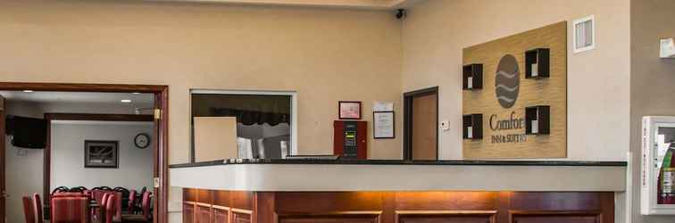 Lobi Comfort Inn & Suites Diamondale – Lansing