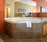 ห้องน้ำภายในห้อง 4 Comfort Suites Louisville Airport