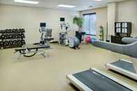 Fitness Center Hilton Garden Inn Toronto/Burlington