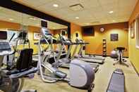 Fitness Center Hilton Garden Inn Springfield, IL.