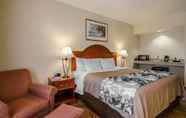 Bedroom 5 Sleep Inn & Suites Springdale West