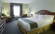 Kamar Tidur 5 Holiday Inn Express Hotel & Suites Gananoque, an IHG Hotel